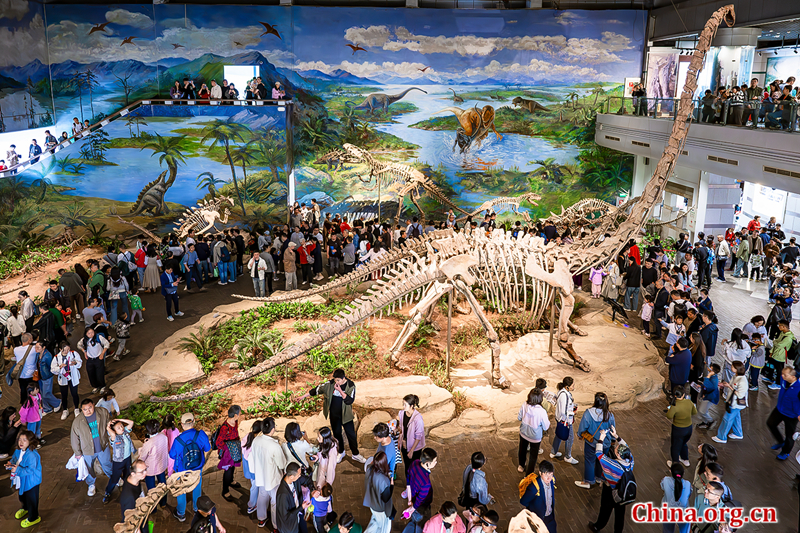 Zigong draws 800,000 tourists during National Day holiday